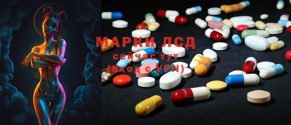 трава Аркадак
