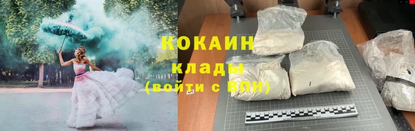 трава Аркадак