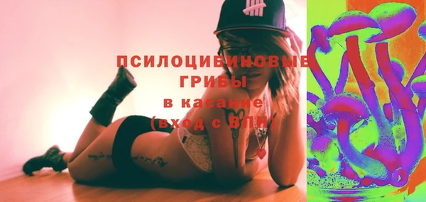 трава Аркадак