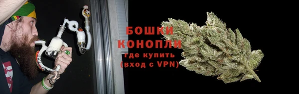 трава Аркадак