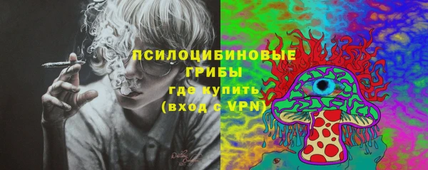 прущая мука Арсеньев