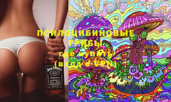 прущая мука Арсеньев