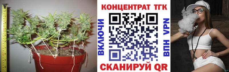 Дистиллят ТГК Wax  darknet как зайти  Отрадный  МЕГА вход 